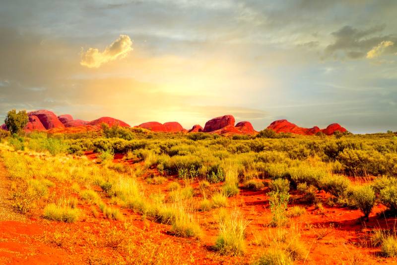 Une semaine au cœur de l'Outback Australien